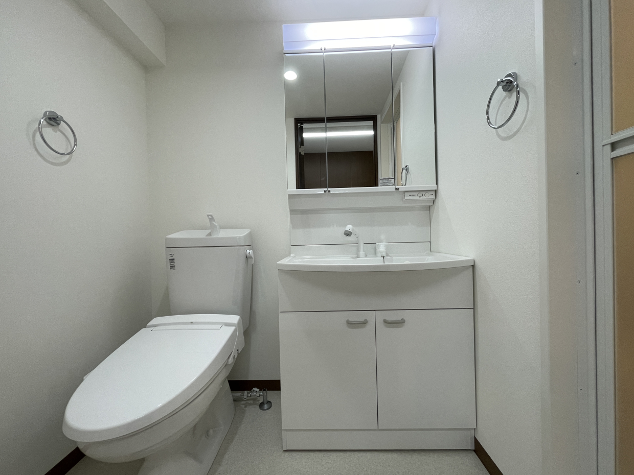 洗面台は3面鏡タイプ。収納力が高くて嬉しい