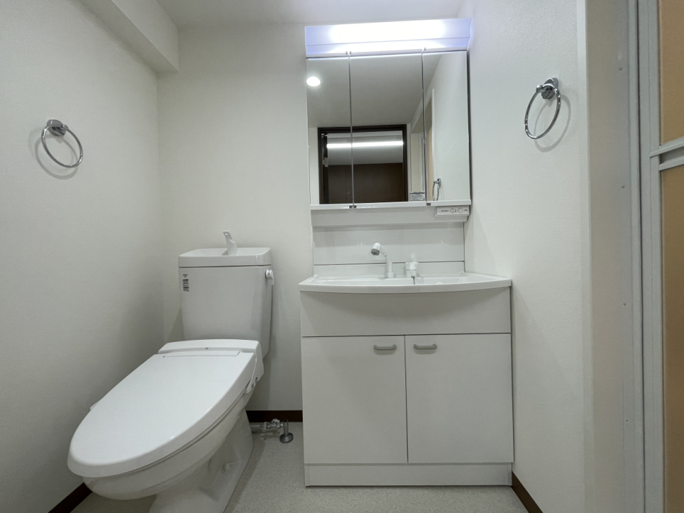 洗面台は3面鏡タイプ。収納力が高くて嬉しい