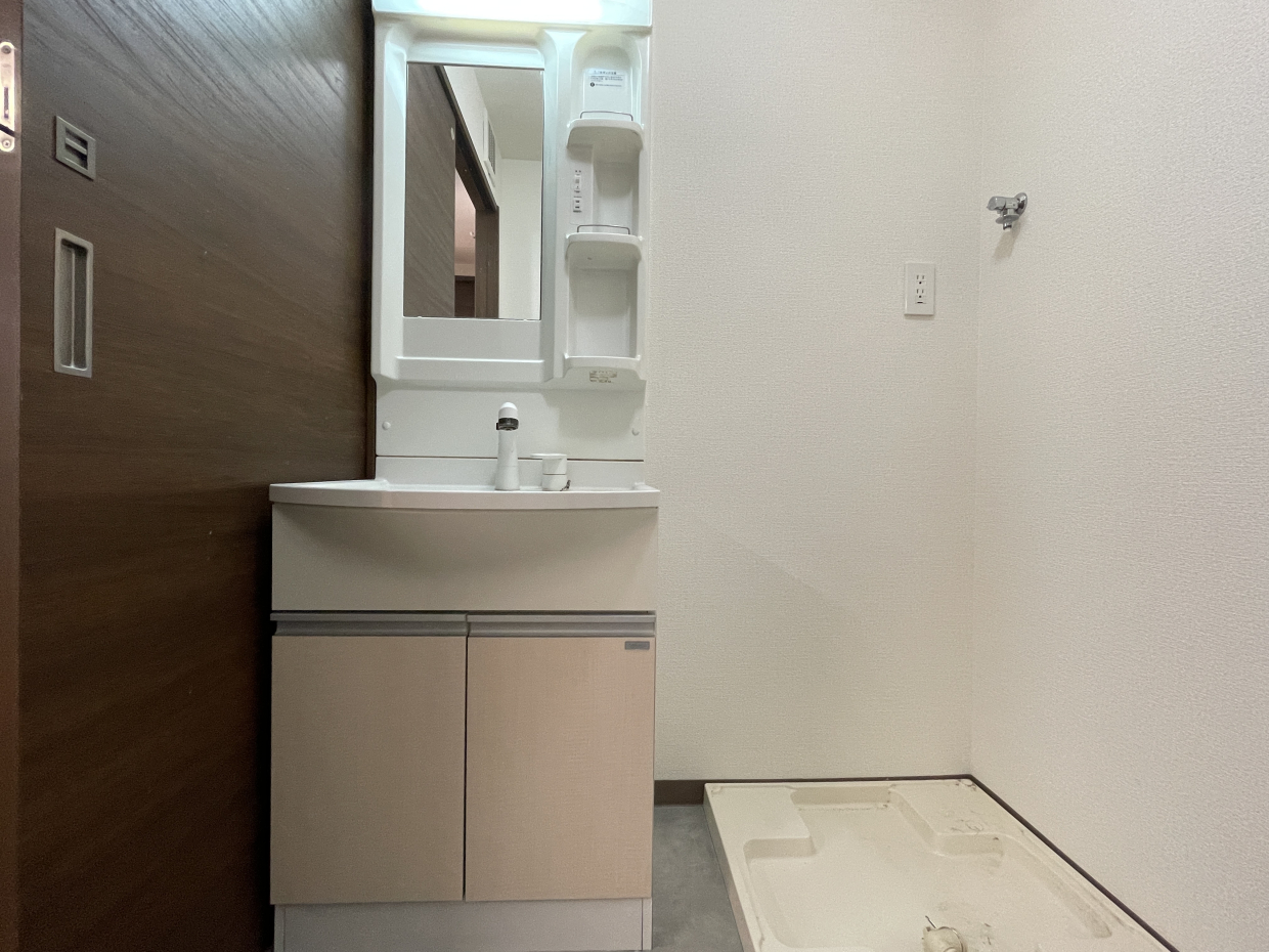 予洗いしたものをすぐ隣の洗濯機に投げ込めるのは楽ですね