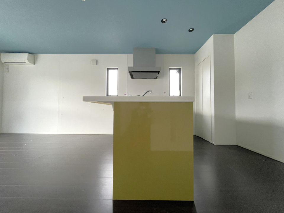 便利なカウンター式です。ハイチェアを置いてもいいですね