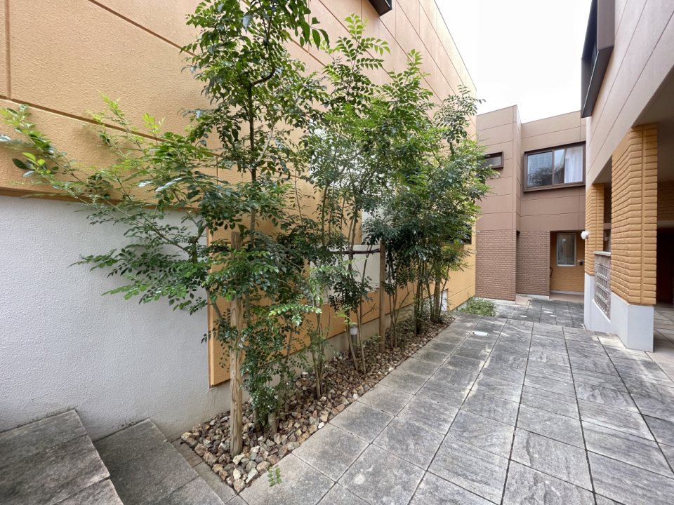 褪せたレンガのようなベージュに植栽の緑が映えています