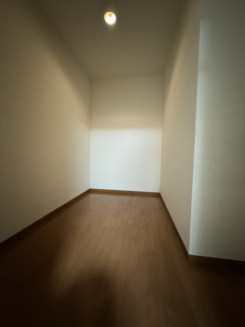 LD横のWIC収納。広い