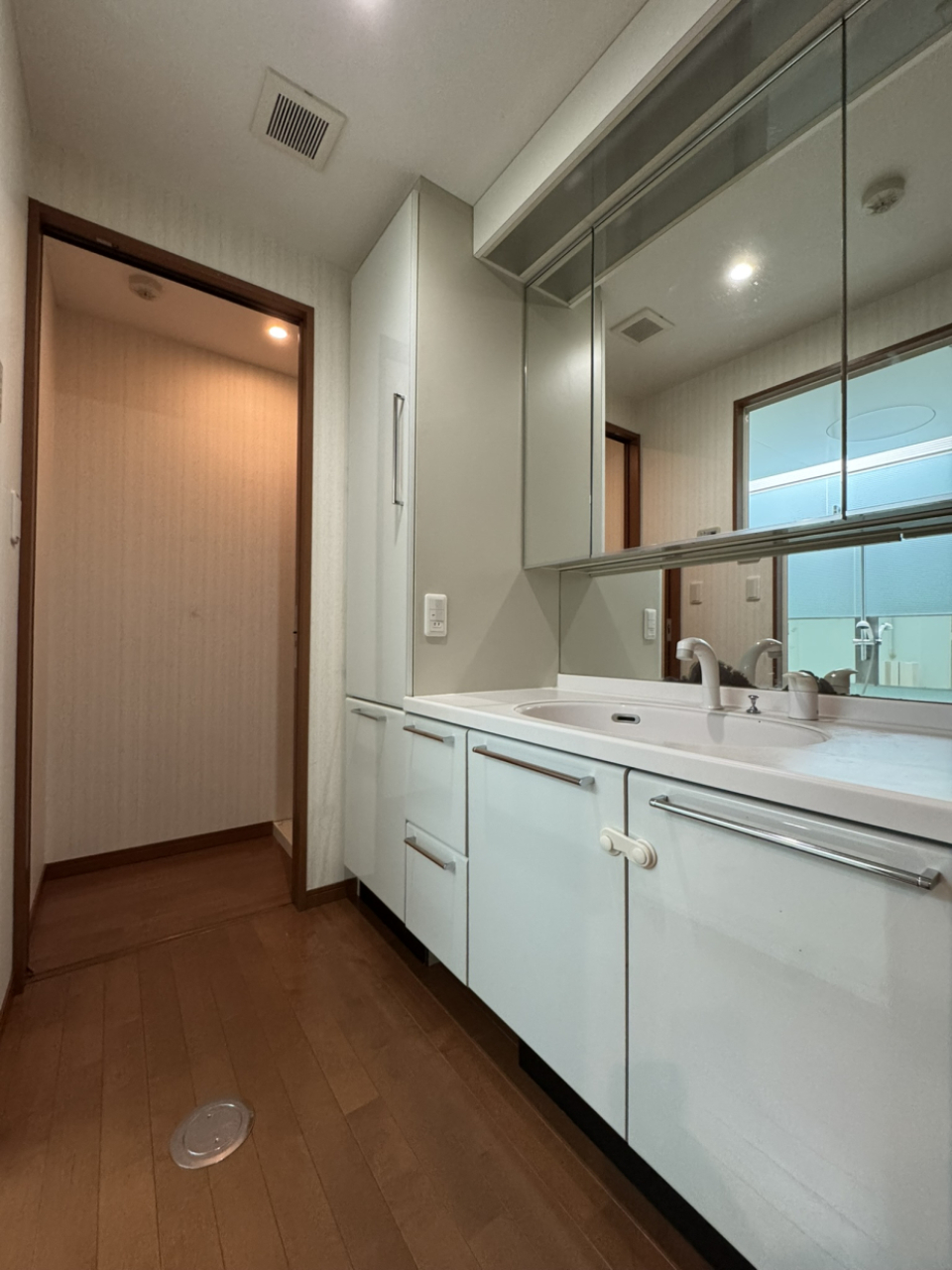 ゆとりのある洗面台