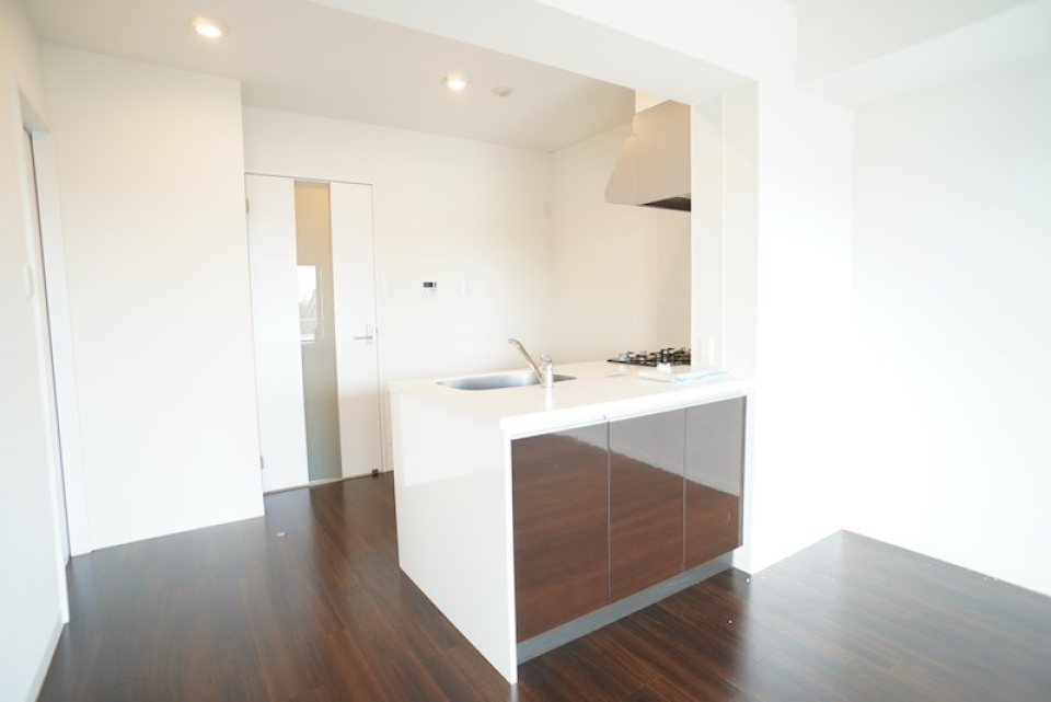 このキッチン実は