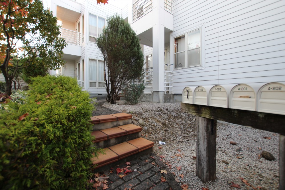 緑に囲まれた白い建物はアメリカのどこかの町にありそう。