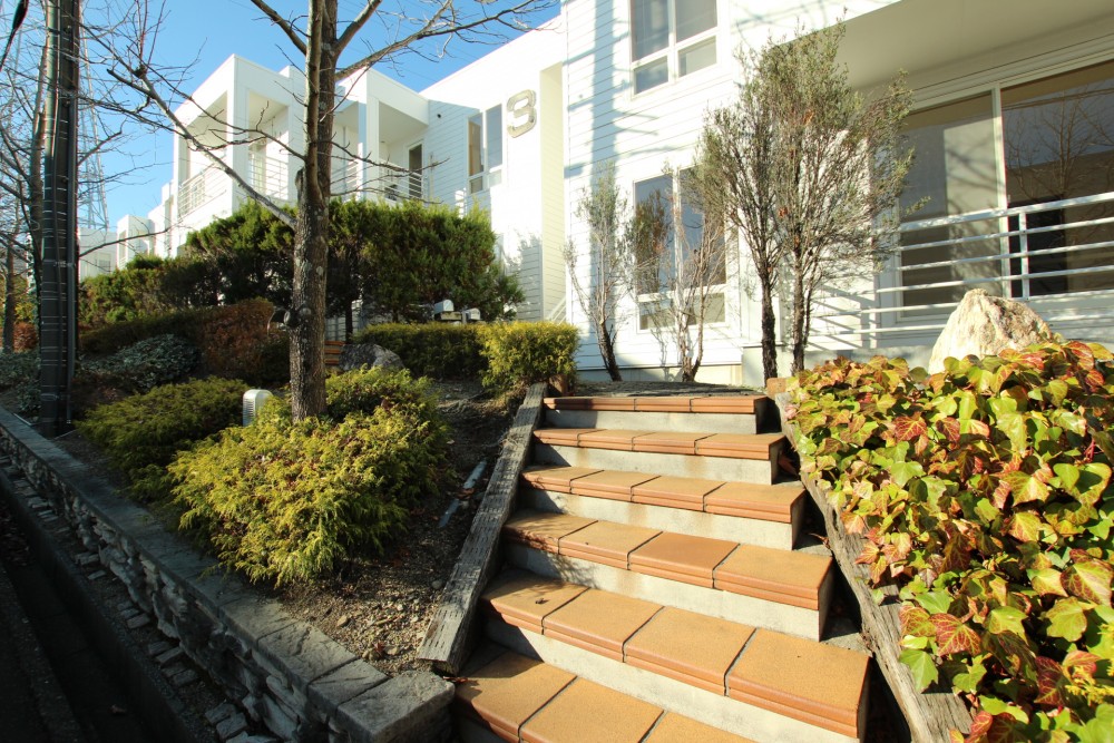 冬の晴れたにはこんな景色に。