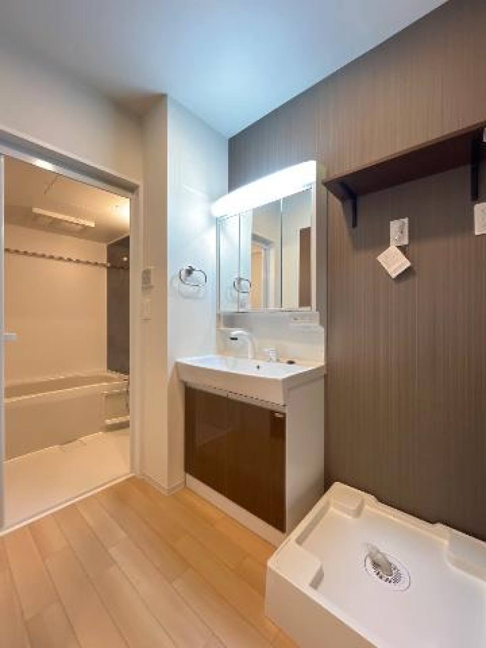 洗面スペースもゆとりのある広