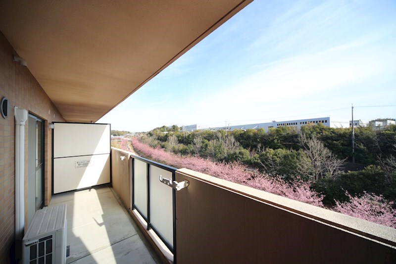 楽しみな景色です。