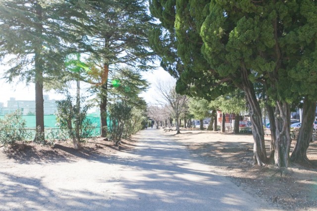 和地山公園まですぐ。ランニングなどスポーツを楽しめる。