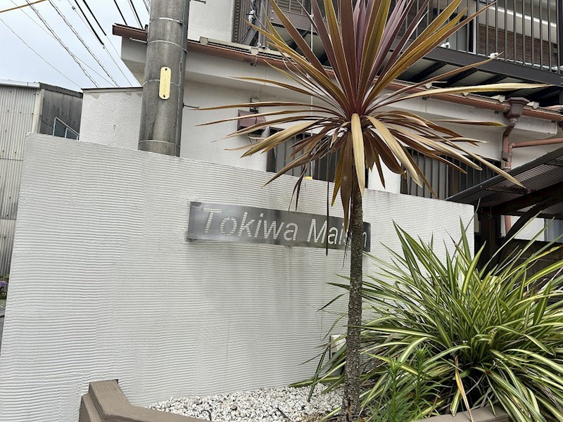 植物の雰囲気がカワイイ