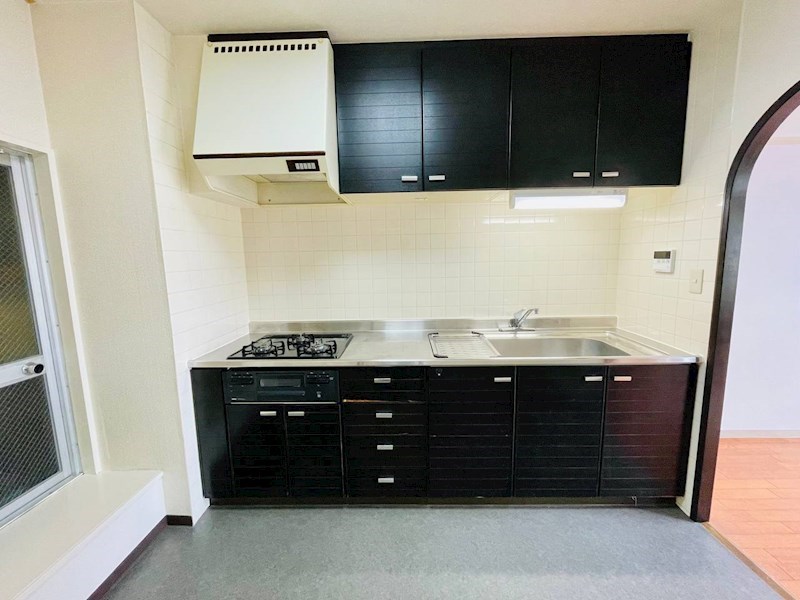 大きなシステムキッチン