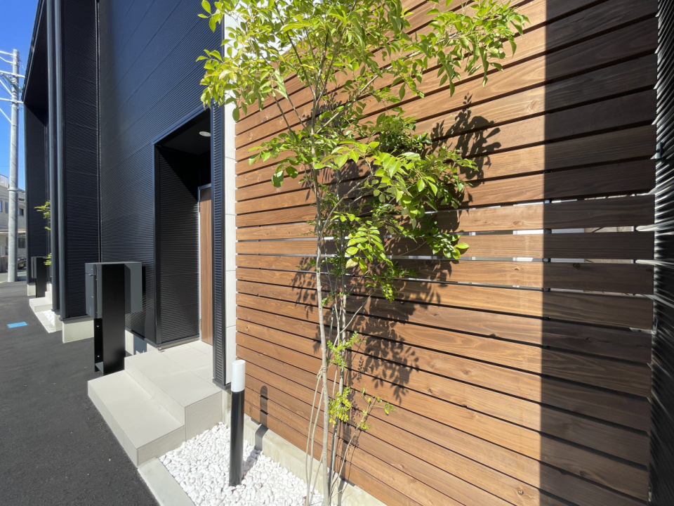 玄関先の植物がお洒落