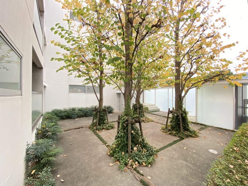 シンメトリーと中庭が好き