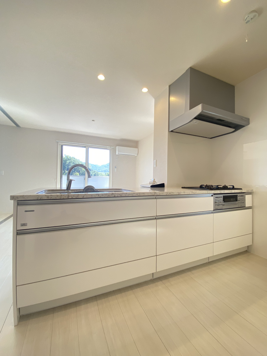 スワンネック付きの広々対面システムキッチン